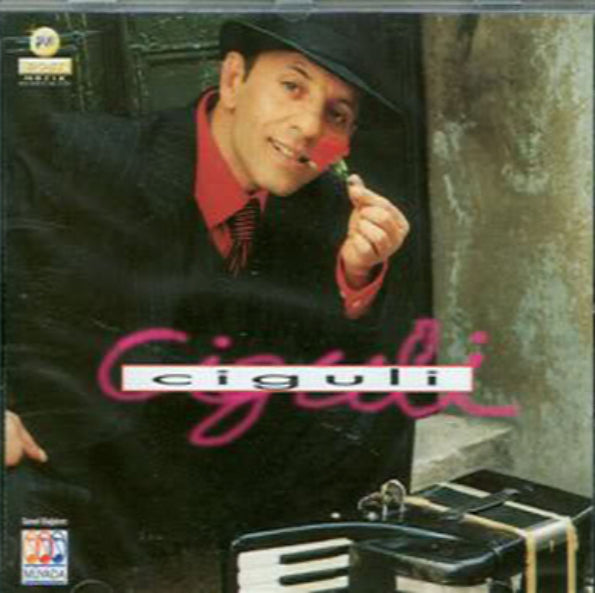Ciguli - Binnaz CD | Çiftetelli | Oyun havaları | CD | Almanya
