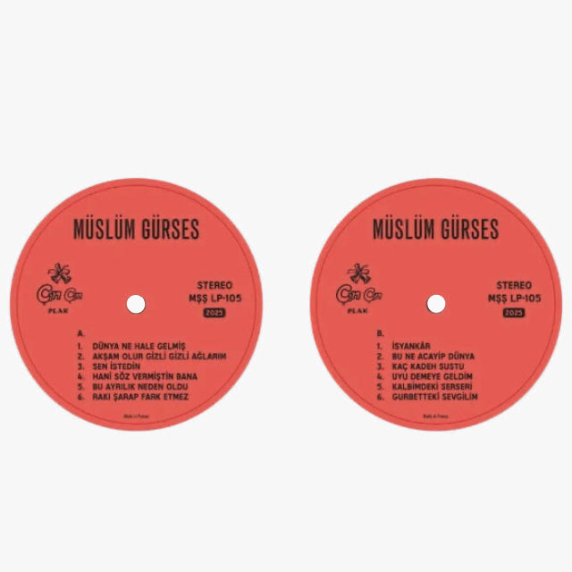 Müslüm Gürses Dünya Ne Hale Gelmiş Plak ( Müslüm Gürses Album Plak ) Müslüm Gürses Kaç Kadeh Sustu Plak