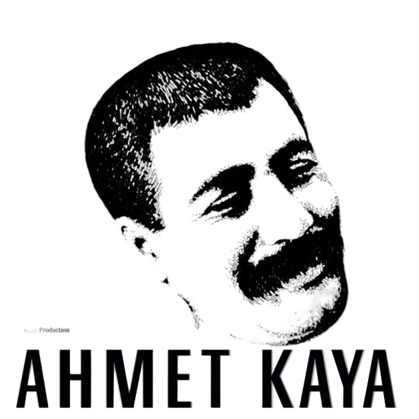 AHMET KAYA - An Gelir - Record - Vinyl - Plak