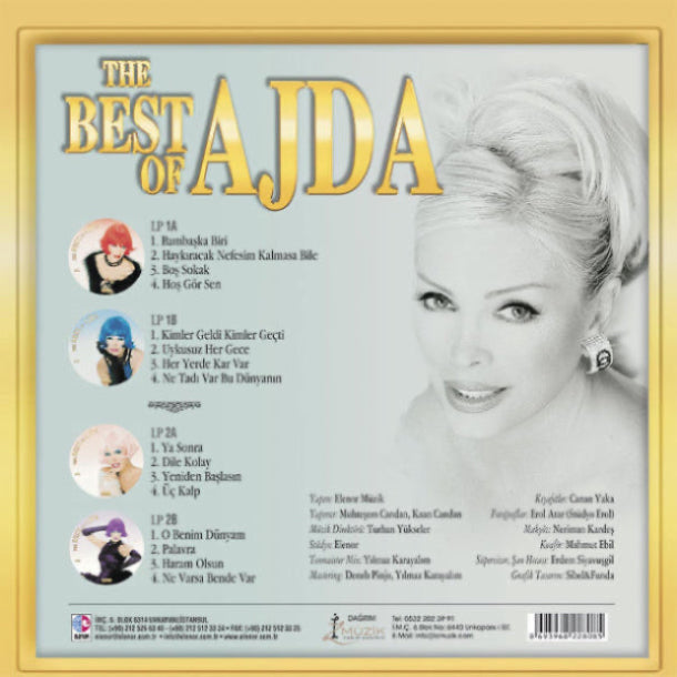 Ajda Pekkan - The Best Of Ajda Plak (Renkli Picture 2'li Plak) Schallplatte | LP | Almanya