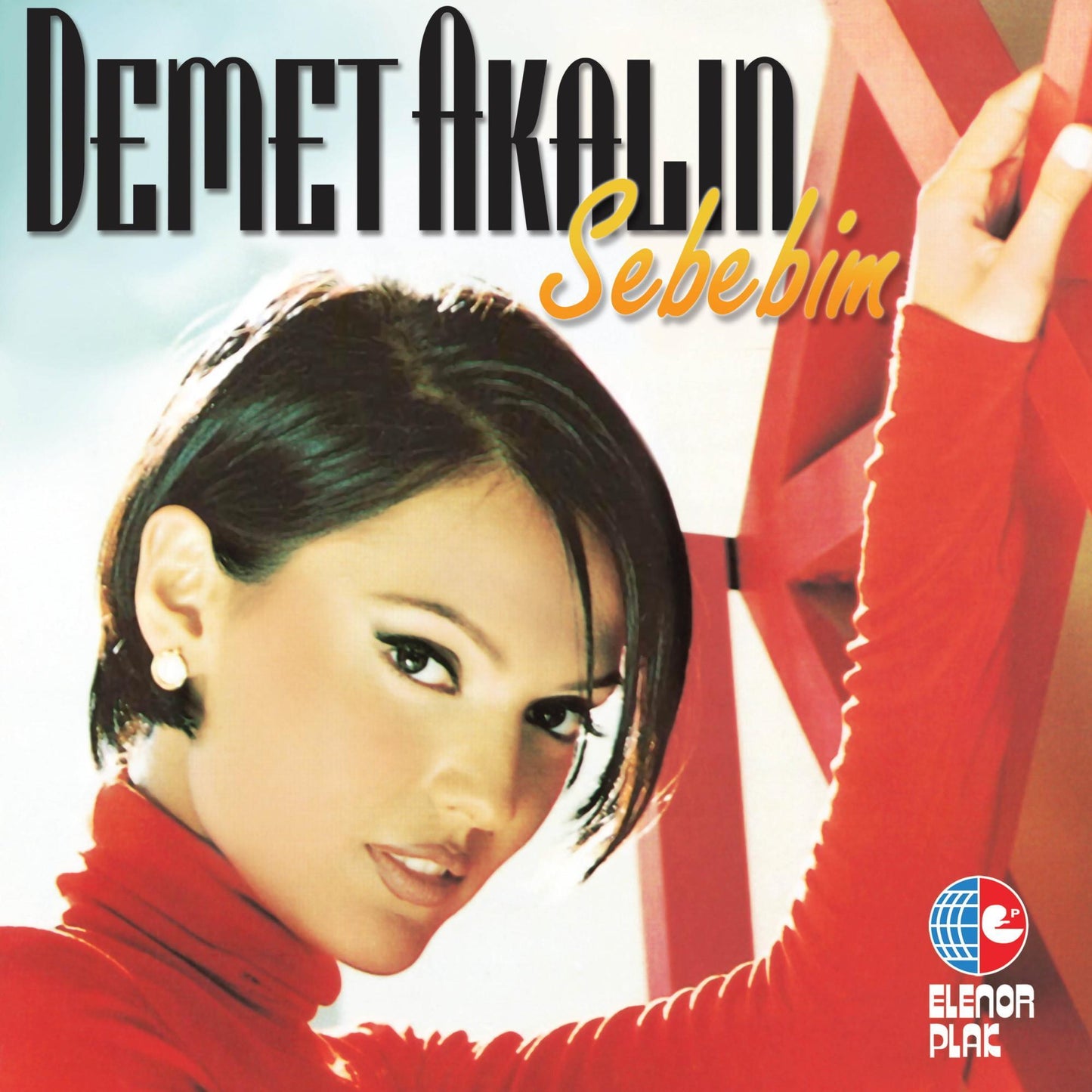 Demet Akalın - Sebebim (Türk Pop) | kayıt | (LP)