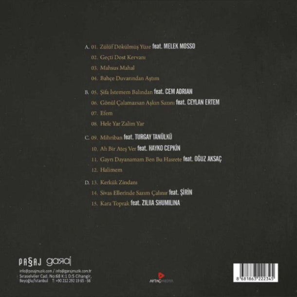 Haluk Levent Plak-Haluk Levent Vasiyet Plak-Türkü Albümü Plak