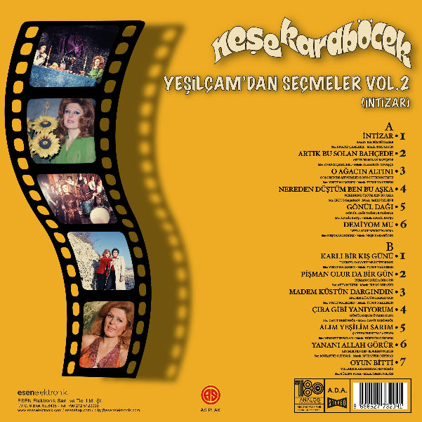 Neşe Karaböcek plak - Yeşilçam'dan Seçmeler | Karlı bir Kis Günü || İntizar | Plak | Schallplatte | LP |sipariş