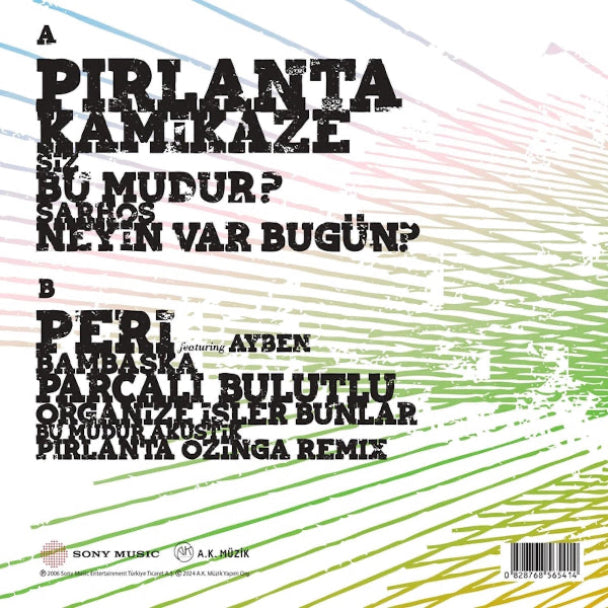 Nil Karaibrahimgil | Tek Taşımı Kendim Aldım | Plak |Türkçe | Pop | Plak|Schallplatte|LP