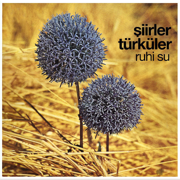 Şiirler ve Türküler Plak | türkische Volksmusik | Schallplatte | LP |Türk Halk Müziği | Plak | Schallplatte | LP