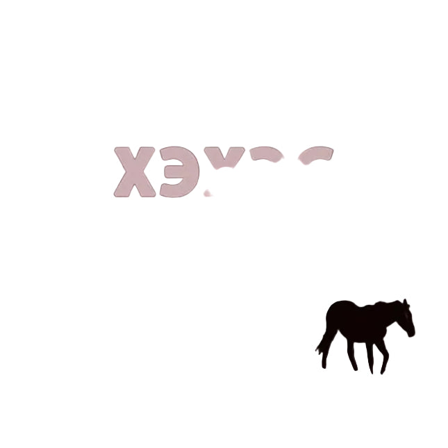 Xexec - Çerkes Ezgileri CD (Çerkes müziği CD) XEXEC CD | Çerkes Ezgileri CD