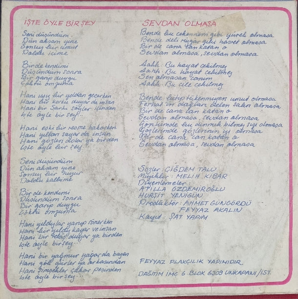 Erol Evgin Plak | İşte Öyle Bir Şey | Sevdan Olmasa | Plak | 1976 | 45 'lik Plak