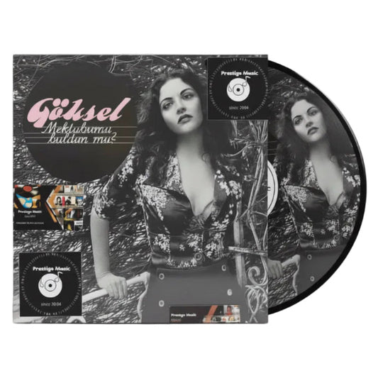 Göksel - Mektubumu Buldun mu (Plak) Türkçe | Pop | Plak | kayıt | LP