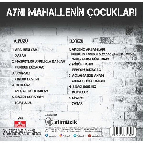 AYNI MAHALLENİN ÇOCUKLARI - Yaşar - Haluk Levent - Feridun Düzağaç - Murat Gögebakan - Kurtuluş - plak - vinil - poster