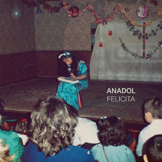 Anadol - Felicita Plak | Türkçe Pop - Rock Plak | Electronic - Dance | Dans ve Elektronik Plak