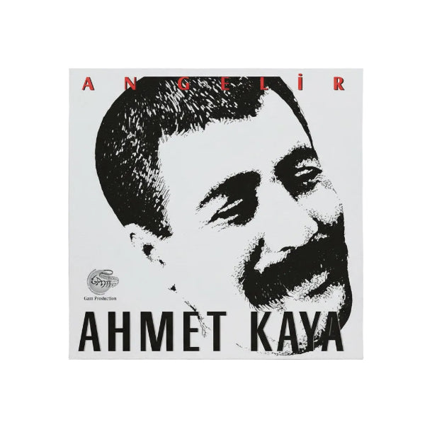 AHMET KAYA - An Gelir - Record - Vinyl - Plak