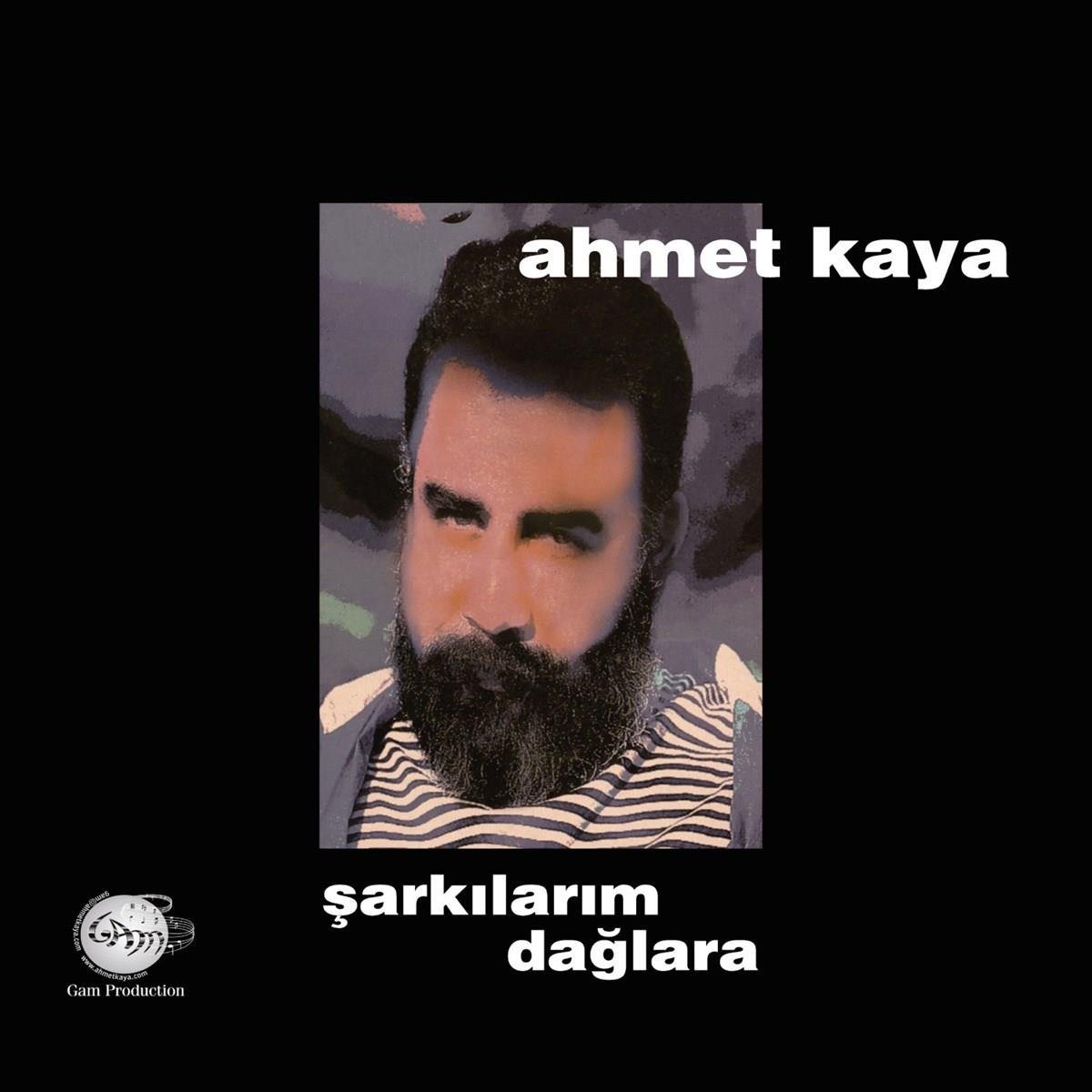 AHMET KAYA - Şarkılarım Dağlara - plak - vinil - poster