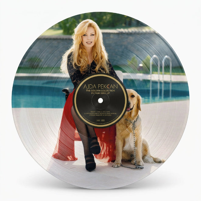 Ajda Pekkan - Eğlen Güzelim (Plak)Ajda Pekkan Eğlen Güzelim Plak | Türkische Pop | Türkische Schallplatten | LP