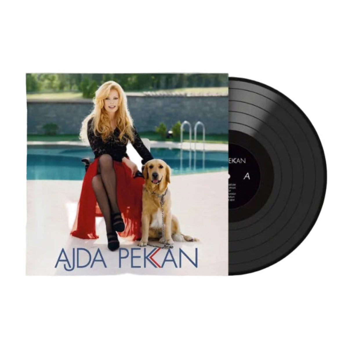 Ajda Pekkan - Eğlen Güzelim (Plak)Ajda Pekkan Eğlen Güzelim Plak | Türkische Pop | Türkische Schallplatten | LP