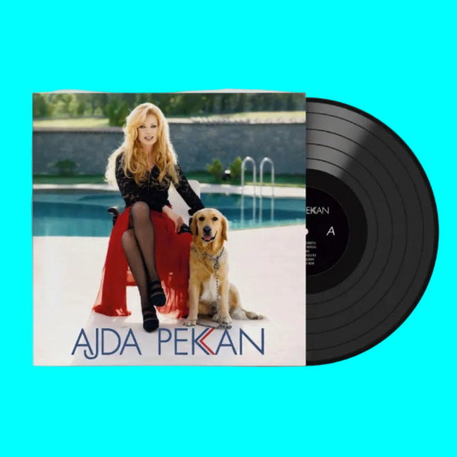 Ajda Pekkan - Eğlen Güzelim (Plak)Ajda Pekkan Eğlen Güzelim Plak | Türkische Pop | Türkische Schallplatten | LP