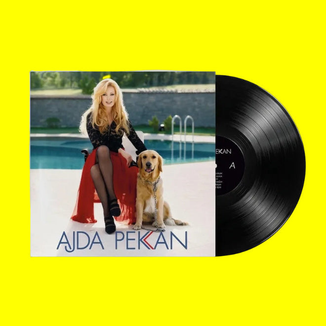 Ajda Pekkan - Eğlen Güzelim (Plak)Ajda Pekkan Eğlen Güzelim Plak | Türkische Pop | Türkische Schallplatten | LP