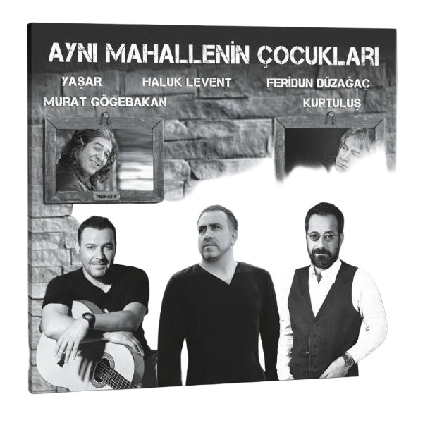 AYNI MAHALLENIN COCUKLARI - Yasar - Haluk Levent - Feridun Düzagac - Murat Gögebakan - Kurtulus - Record - Vinyl - Plak