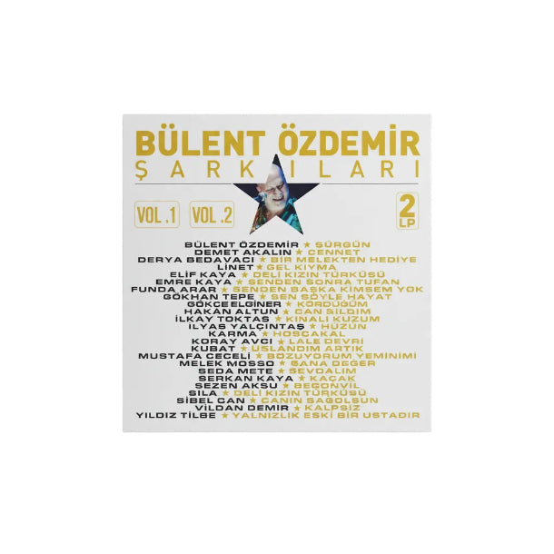 Bülent Özdemir Şarkıları - Çeşitli Sanatçılar | Plak (2 Plak) Türkçe | karışık | pop | Plak