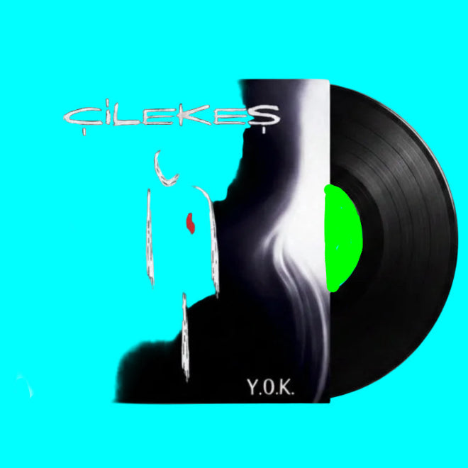 Çilekeş - Y.O.K (Plak)Çilekeş YOK | Plak | Türkischer rock | Plak | Schallplatte | LP