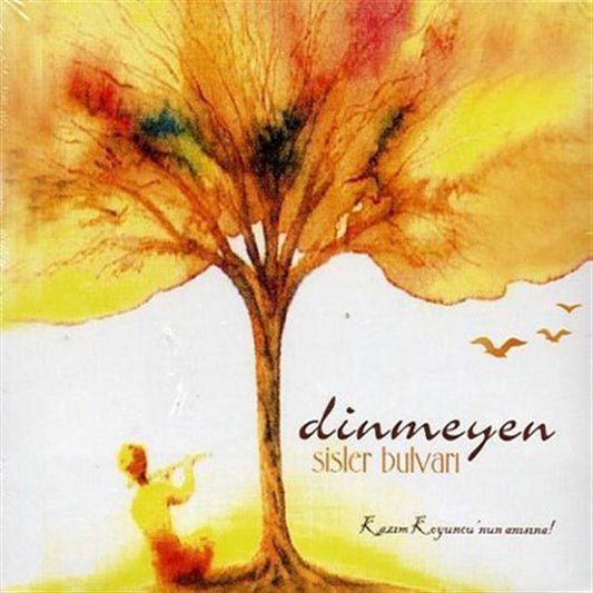 Dinmeyen CD-Dinmeyen Sisler Bulvari CD-Özgün-Protest Müzik (CD)