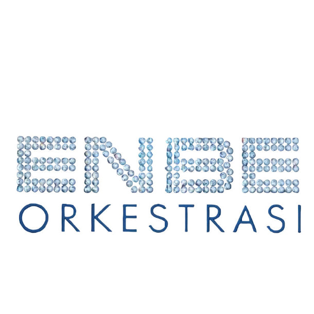 BEHZAT GERCEKLER &amp; ENBE ORKESTRASI - 2LP - Record - Vinyl - Plak