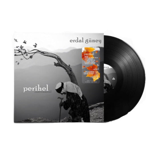 Erdal Güney - PerihelAfel Plak (Enstrümantal) (Erdal Güney Plak) Film Dizi Müzikleri Plak