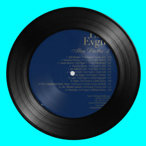 Erol Evgin - Altın Düetler 2 (Plak) Erol Evgin | Çeşitli sanatçılar dan | Düetler | Plak | Schallplatte | LP