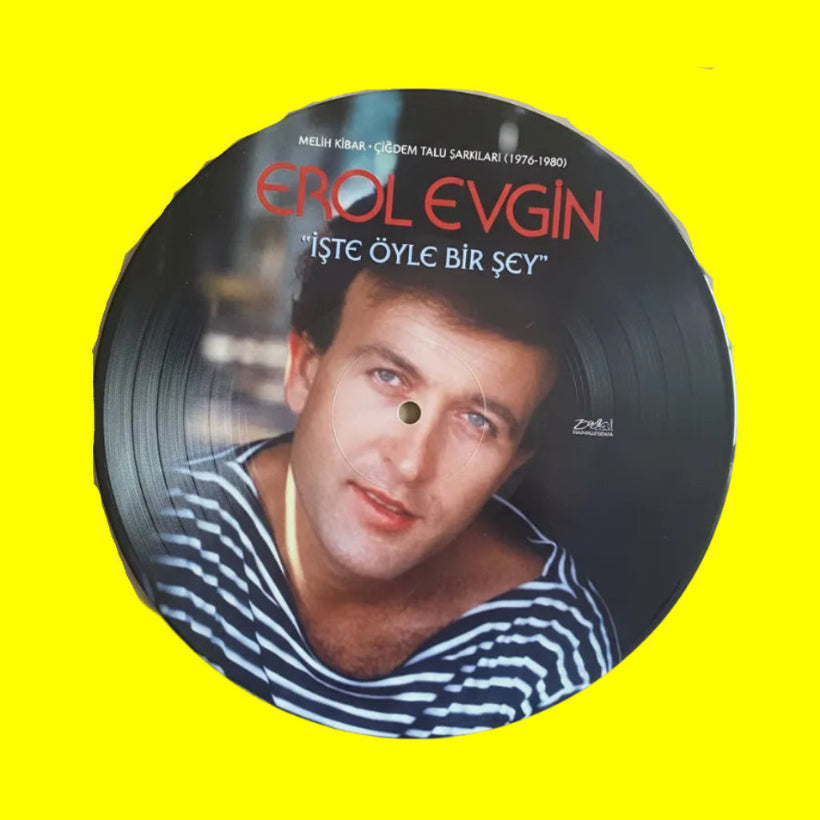 Erol Evgin - İşte Öyle Birşey (Plak) Erol Evgin İşte Öyle Birşey Plak | Schallplatte | LP