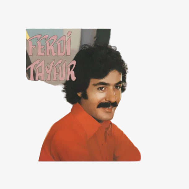 Ferdi Tayfur - Postacilar Plak| Postacılar Plak ( Ferdi Tayfur Plak ) Ferdi Tayfur Postacılar Schallplatte | LP