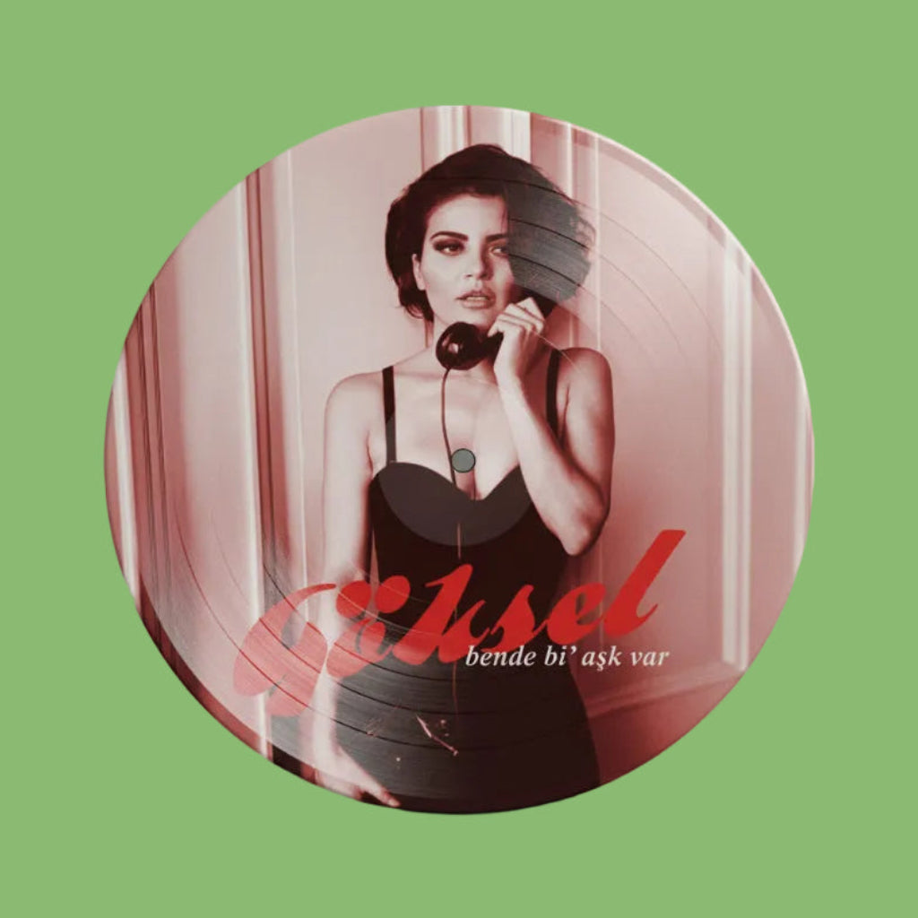 Göksel - Bende Bi' Aşk Var Plak(Göksel Plak)Göksel - Bende Bir Aşk Var Plak | Göksel schallplatte