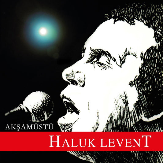 Haluk Levent - Akşamüstü | CD | Anadolu Rock | Türkçe anadolu Rock | Türkischer | Rock | Türkische Rock | CD