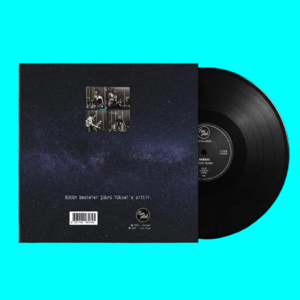 Hardal - Nereden Nereye ! Plak (Limited Numaralı Siyah Plak) Türkischer Rock Schallplatte