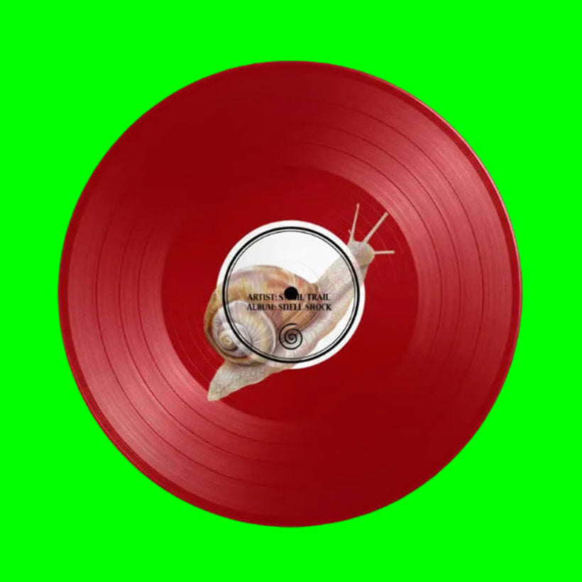 İdil Meşe - Günden Geriye Kalanlar Plak (Türkçe Pop Plak)İdil Meşe Günden Geriye Kalanlar Plak