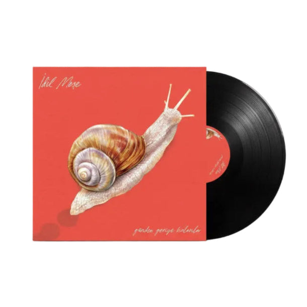 İdil Meşe - Günden Geriye Kalanlar Plak (Türkçe Pop Plak)İdil Meşe Günden Geriye Kalanlar Plak