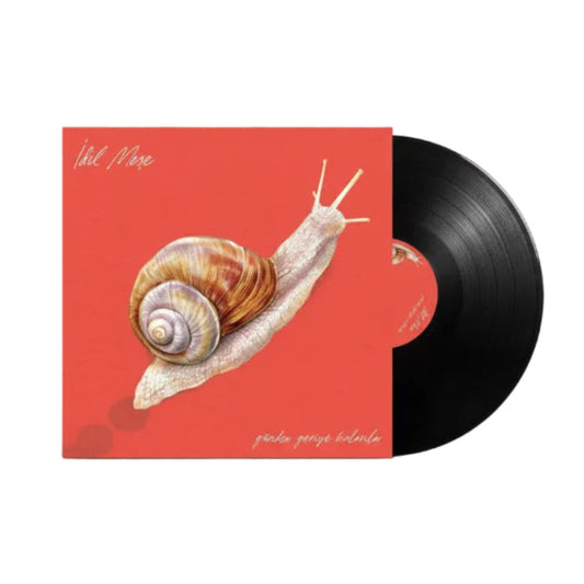 İdil Meşe - Günden Geriye Kalanlar Plak (Türkçe Pop Plak)İdil Meşe Günden Geriye Kalanlar Plak