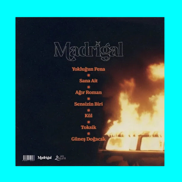 Madrigal - Sana Ait (Plak) alternatif rock | indie | modern pop-rock | Alternative Rock | Indie | modernen Pop-Rock | LP