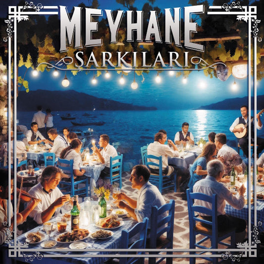 Meyhane Şarkıları Plak (Meyhane Sarkilari Plak)Meyhane Şarkıları Salih Kahraman Plak | Schallplatte