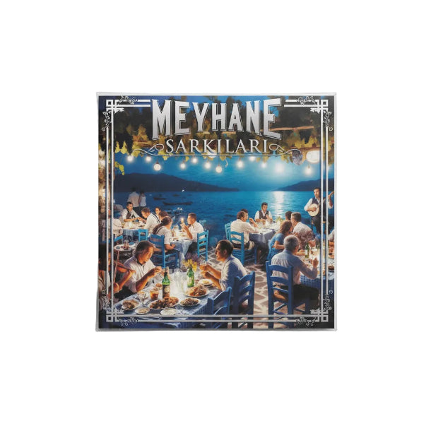 Meyhane Şarkıları Plak (Meyhane Sarkilari Plak)Meyhane Şarkıları Salih Kahraman Plak | Schallplatte