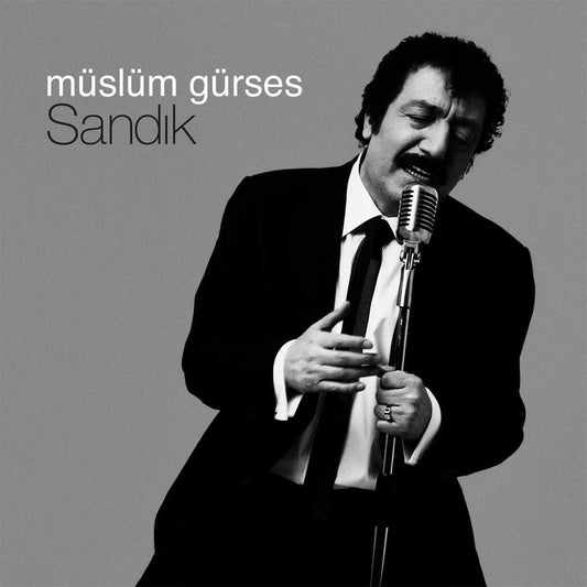 MÜSLÜM GÜRSES/ SANDIK / müslüm gürses /sandik plak - vinil - poster