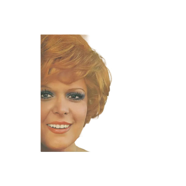 Neşe Karaböcek - Deli Gibi Sevdim Plak (Neşe Karaböcek Plak) Neşe Karaböcek Deli Gibi Sevdim Plak