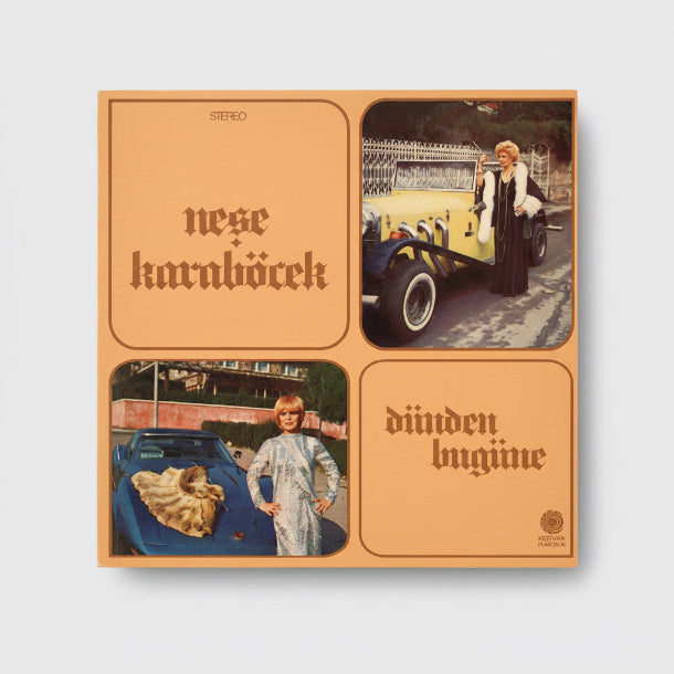 Neşe  Karaböcek - Dünden Bugüne Plak (Nese Kara Böcek Plak)Türk Sanat | müziği | Plak| Schallplatte | LP