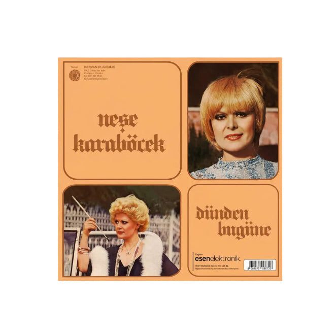 Neşe  Karaböcek - Dünden Bugüne Plak (Nese Kara Böcek Plak)Türk Sanat | müziği | Plak| Schallplatte | LP