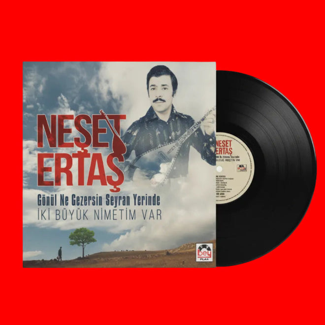 Neşet Ertaş - Gönül Ne Gezersin Seyran Yerinde | iki büyük niyetim var Plak | Schallplatte |LP