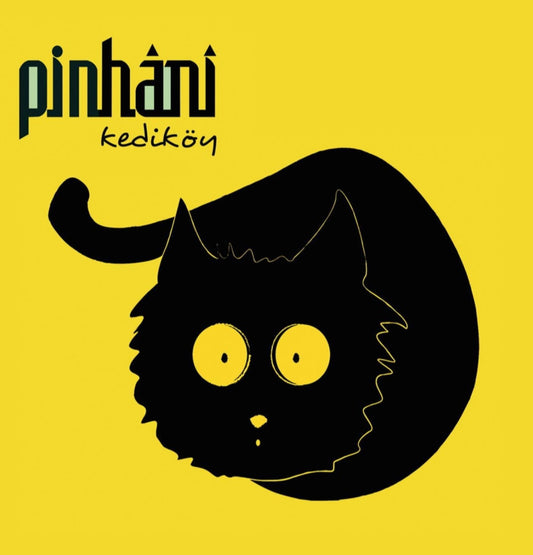 Pinhani  |Pinhani Kediköy Plak |Rock Plak-LP-Schallplatte|LP