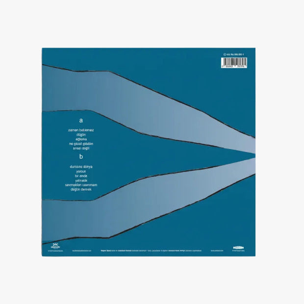 Pinhani - Zaman Beklemez Plak (Plak) Pinhani Zaman Beklemez Plak | Schallplatte | LP