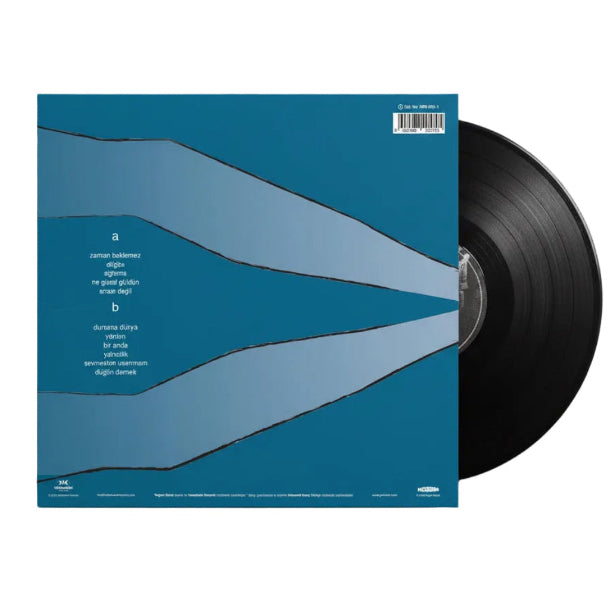 Pinhani - Zaman Beklemez Plak (Pinhani Plak) Pinhani Zaman Beklemez Plak | Schallplatte | LP