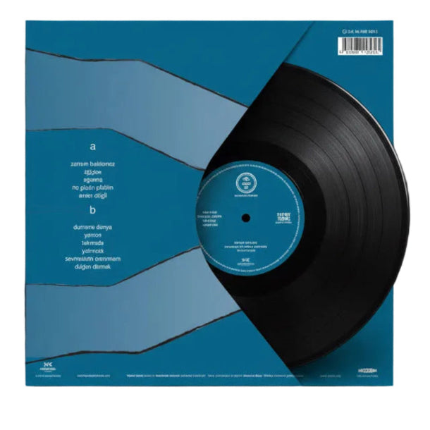 Pinhani - Zaman Beklemez Plak (Pinhani Plak) Pinhani Zaman Beklemez Plak | Schallplatte | LP