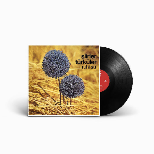 Şiirler ve Türküler Plak | türkische Volksmusik | Schallplatte | LP |Türk Halk Müziği | Plak | Schallplatte | LP
