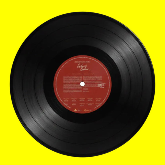 Selami Şahin - Seninle Başım Dertte (Plak) Selami Sahin Senin ile Basim Dertte Plak | Schallplatte | LP