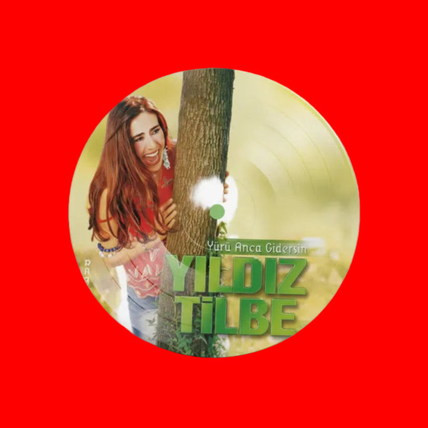 Yıldız Tilbe Yürü Anca Gidersin Plak (Yıldız Tilbe Plak) Yıldız Tilbe Yürü Anca Gidersin Schallplatte